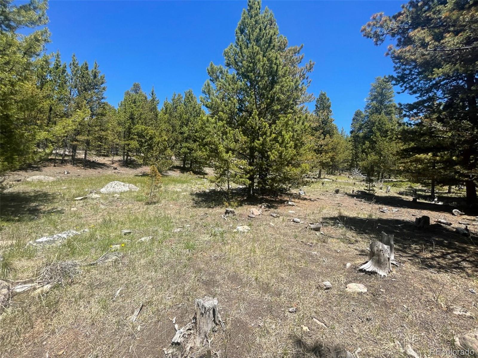 1503 Cornucopia Leadville, CO 80461 - Photo 2 of 27 a view of a yard with plants and trees