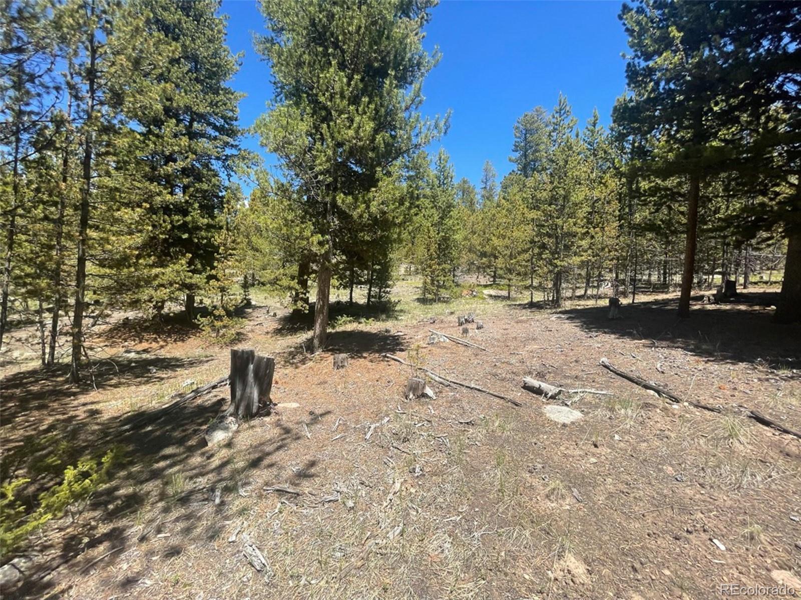 1503 Cornucopia Leadville, CO 80461 - Photo 21 of 27 a view of a yard with trees