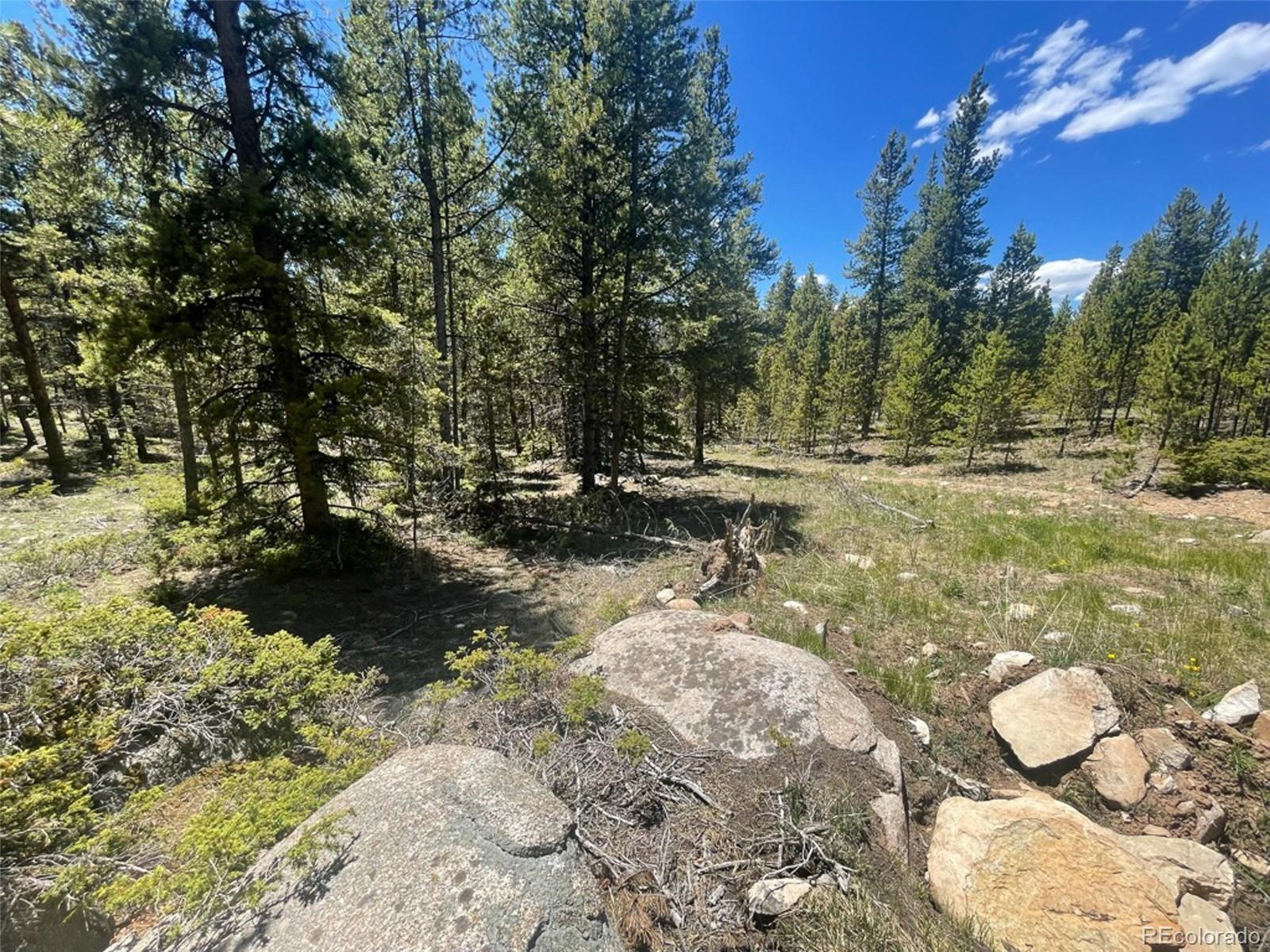 1503 Cornucopia Leadville, CO 80461 - Photo 22 of 27 a view of a yard with large trees