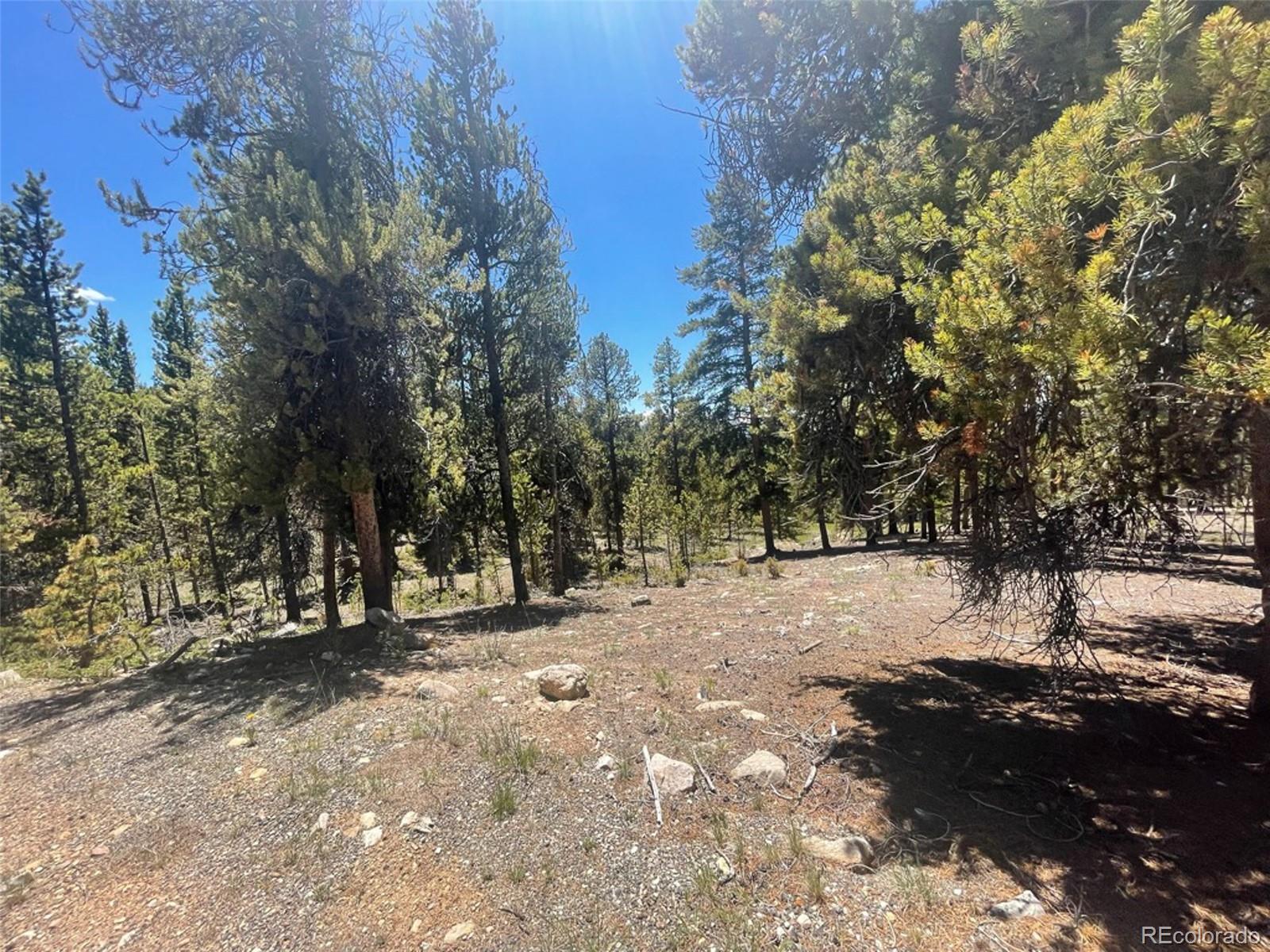 1503 Cornucopia Leadville, CO 80461 - Photo 23 of 27 a view of empty space with trees