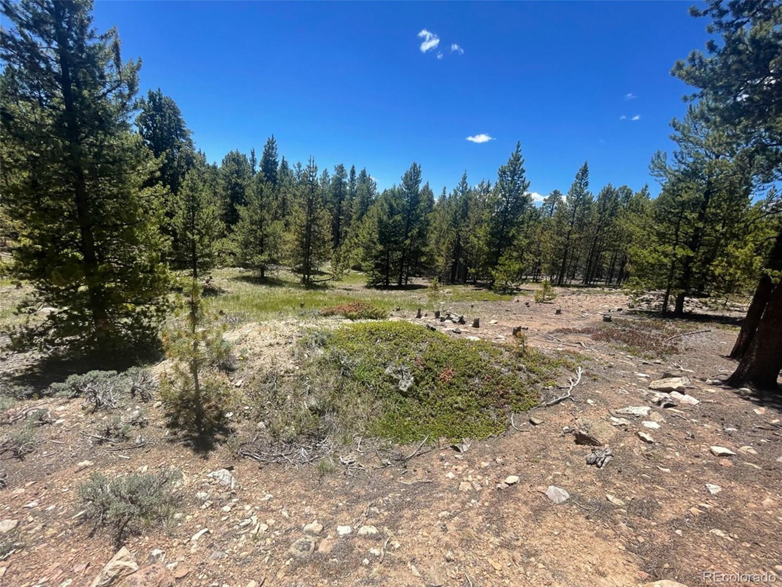 1503 Cornucopia Leadville, CO 80461 - Photo 24 of 27 a view of outdoor space with trees all around