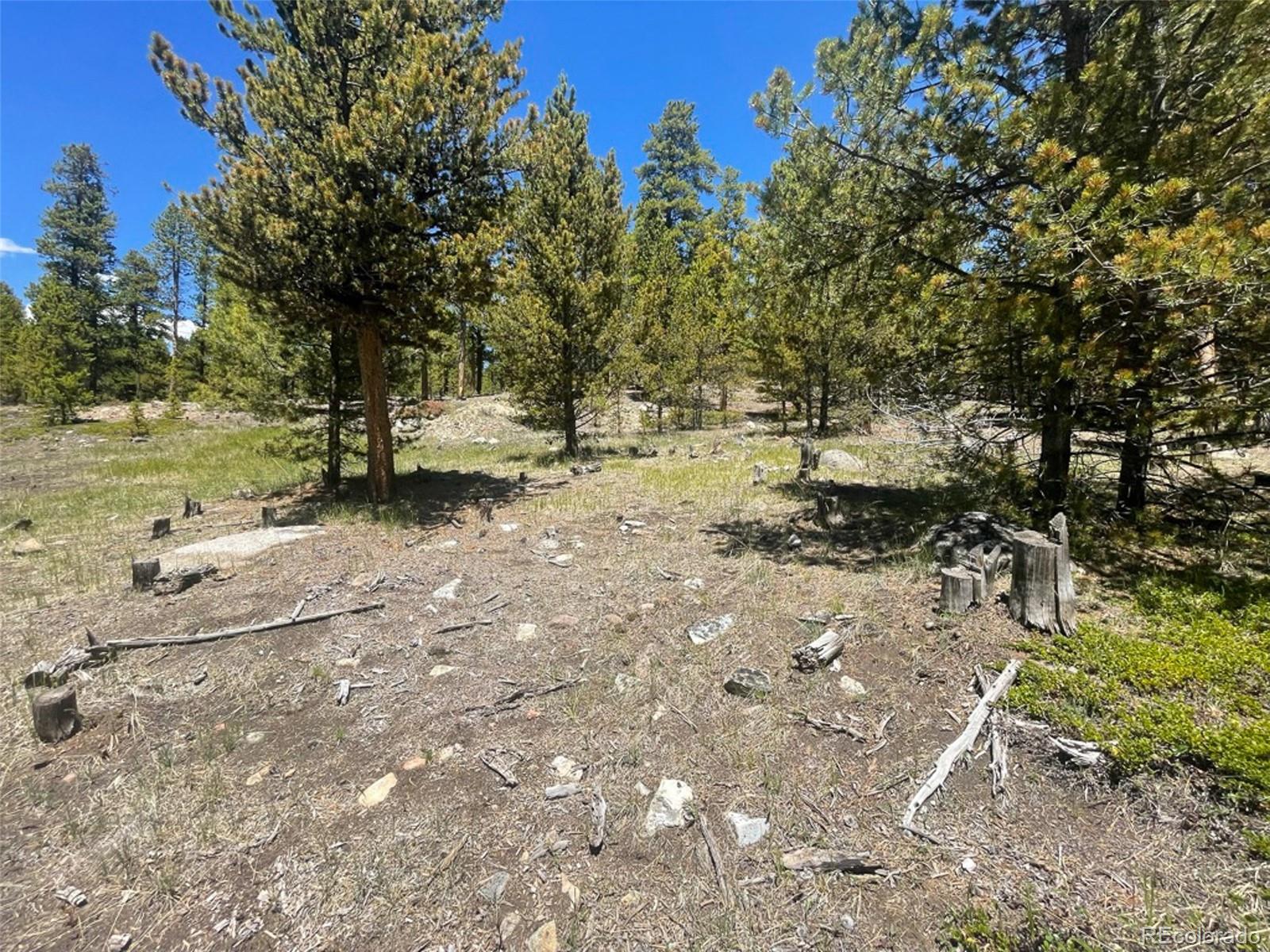 1503 Cornucopia Leadville, CO 80461 - Photo 26 of 27 a view of a yard with a tree
