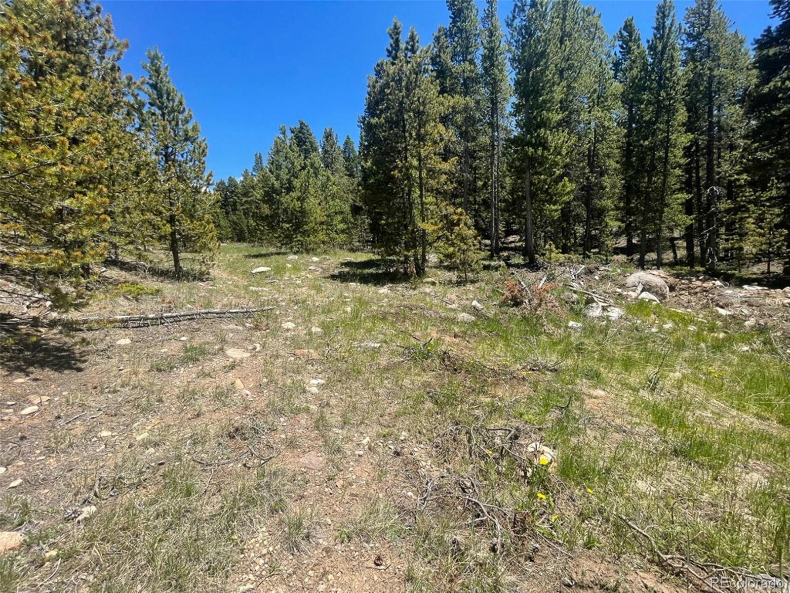 1503 Cornucopia Leadville, CO 80461 - Photo 3 of 27 a view of outdoor space and trees