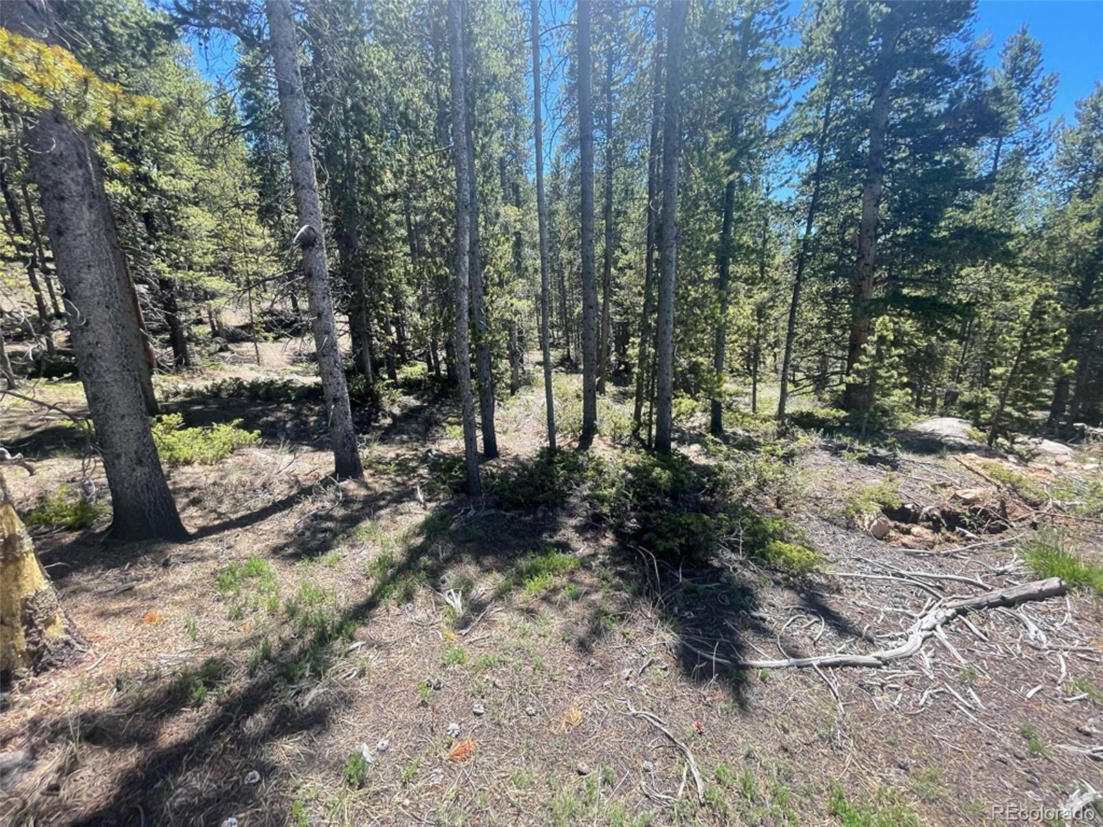 1503 Cornucopia Leadville, CO 80461 - Photo 7 of 27 a view of a forest with trees