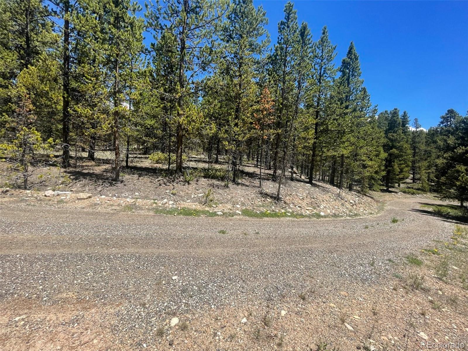 1503 Cornucopia Leadville, CO 80461 - Photo 8 of 27 a view of dirt yard with a trees