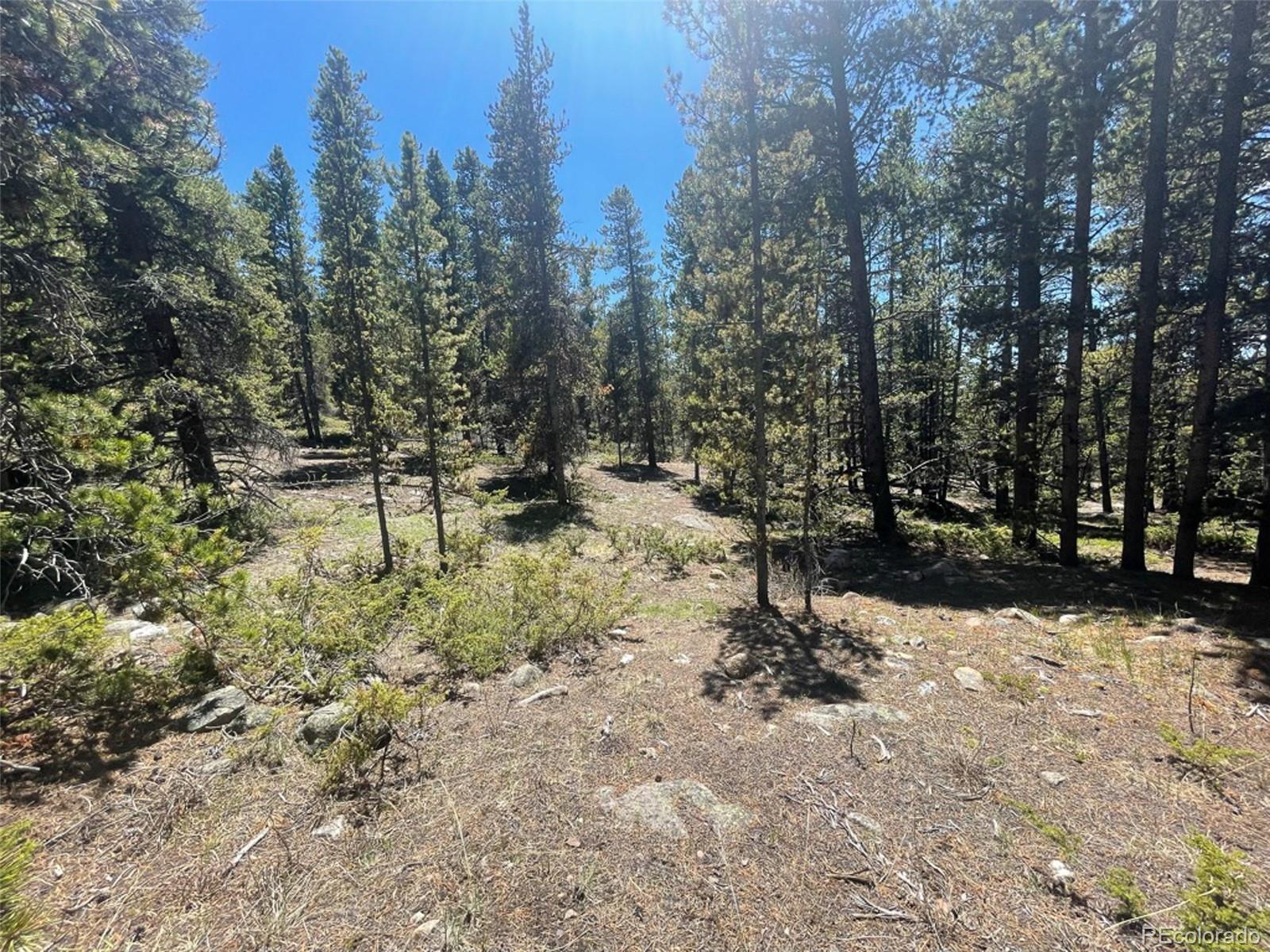 1503 Cornucopia Leadville, CO 80461 - Photo 9 of 27 a view of outdoor space with trees