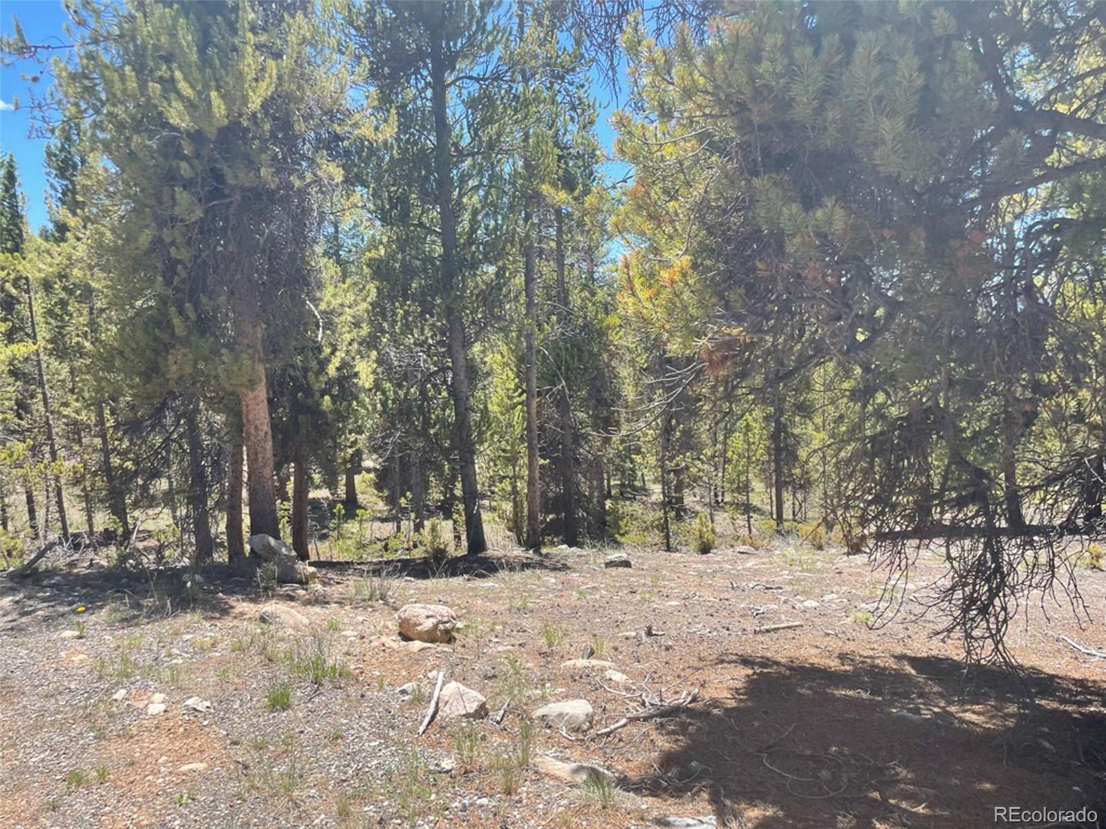 1503 Cornucopia Leadville, CO 80461 - Photo 10 of 27 a view of outdoor space with trees
