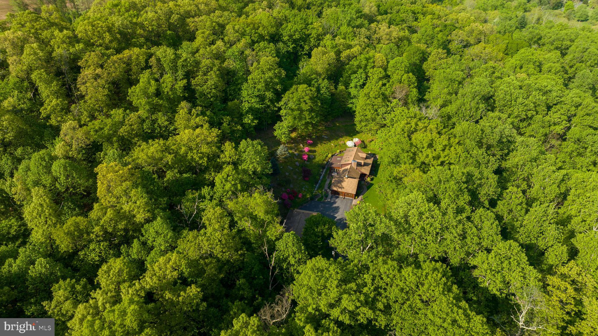 231 Mullen Road Birdsboro, PA 19508 - Photo 68 of 71 Gallery Image 68