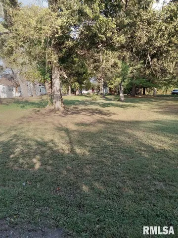 a view of yard with green space