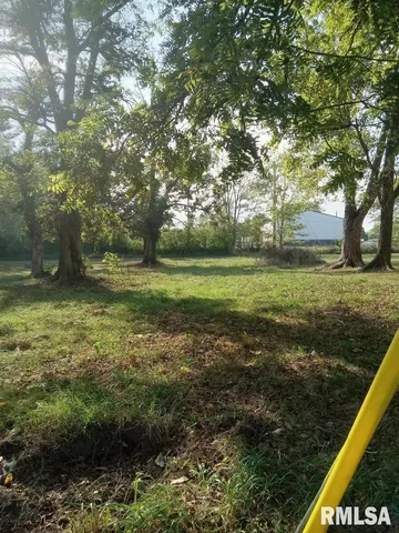 a view of a field with an trees