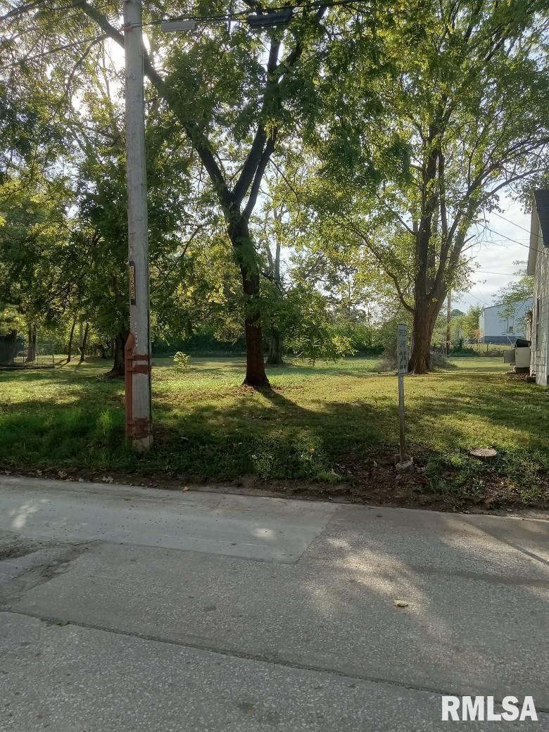 213 South 2nd Street Mount Vernon, IL 62864 - Photo 4 of 4