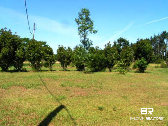 21209 Greek Cemetery Road Robertsdale, AL 36567 - Photo 1 of 1