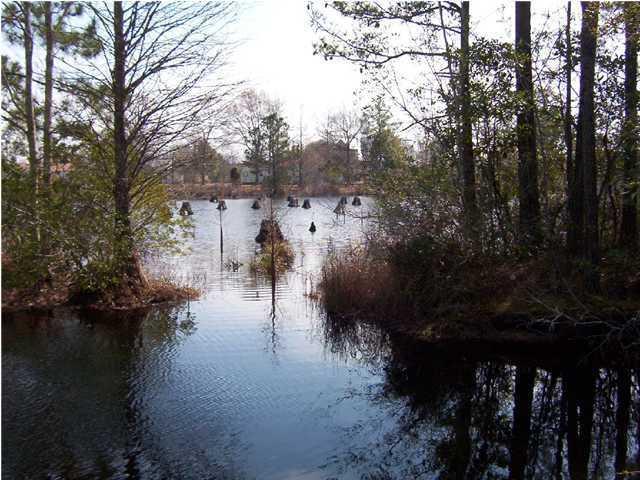 0 Wares Run Cross, SC 29436 - Photo 2 of 8 11