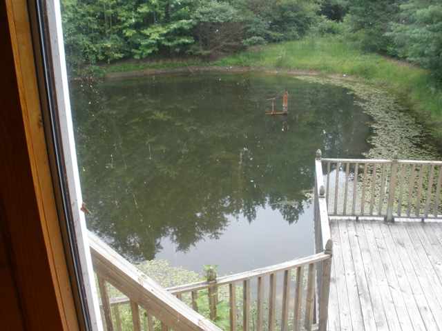 200 Short Branch Road Travelers Rest, SC 29690 - Photo 2 of 16 Gallery Image 2