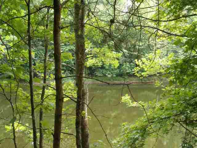 200 Short Branch Road Travelers Rest, SC 29690 - Photo 11 of 16 Gallery Image 11