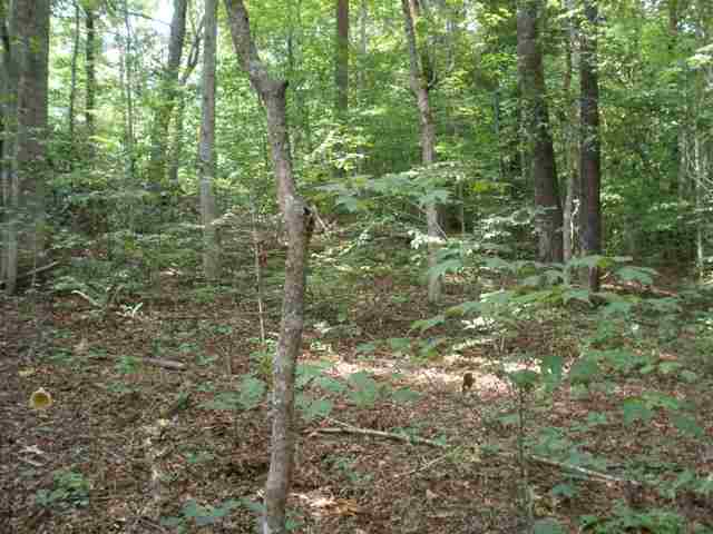 200 Short Branch Road Travelers Rest, SC 29690 - Photo 12 of 16 Gallery Image 12