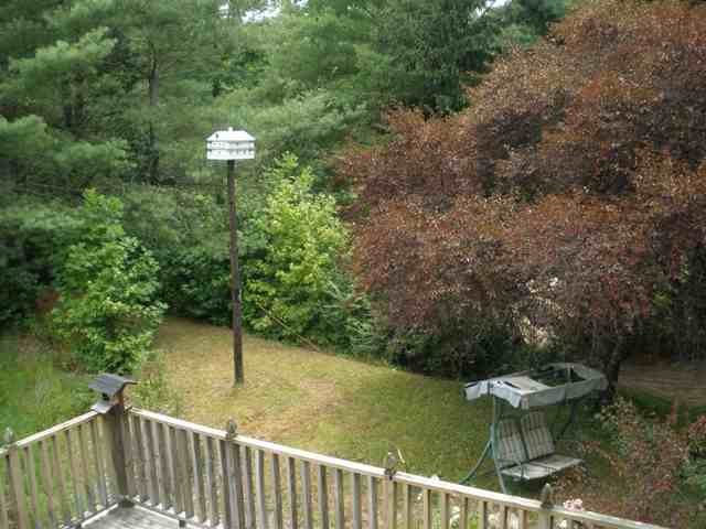 200 Short Branch Road Travelers Rest, SC 29690 - Photo 3 of 16 Gallery Image 3