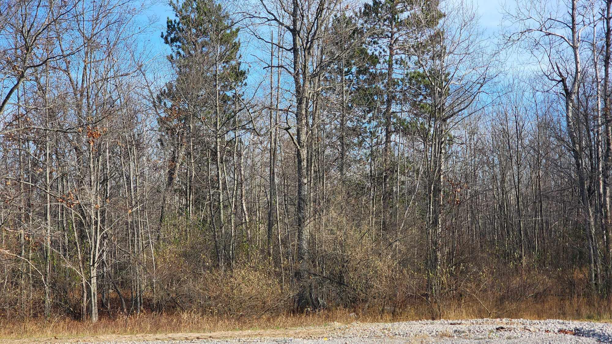 978 Miller Road Lincoln, MI 48742 - Photo 8 of 25 Gallery Image 8