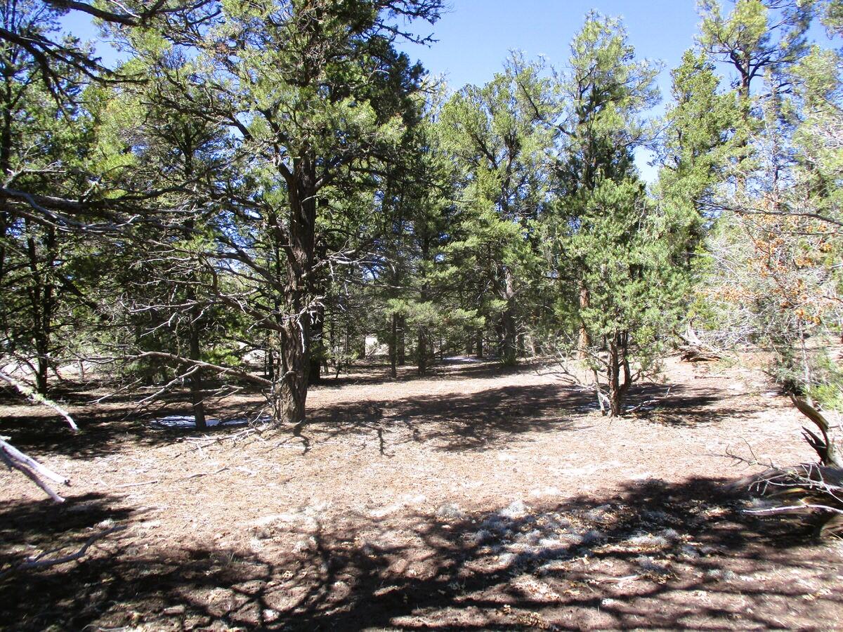 Lot 5 Copperweed Road Ramah, NM 87321 - Photo 40 of 88 Gallery Image 40