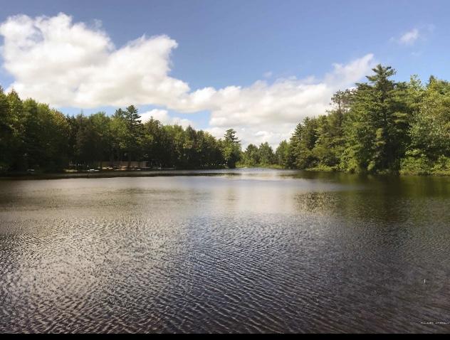 630 Springy Pond Road Ellsworth, ME 04605 - Photo 13 of 27 IMG_1221