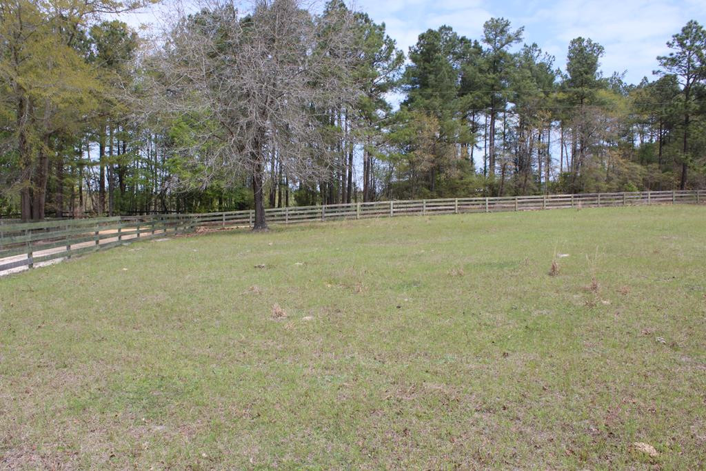 196 Paul Road Monetta, SC 29105 - Photo 8 of 27