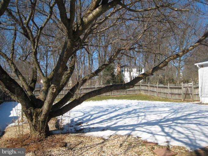 2208 Forest Ridge Road Lutherville-Timonium, MD 21093 - Photo 29 of 30 Back yard