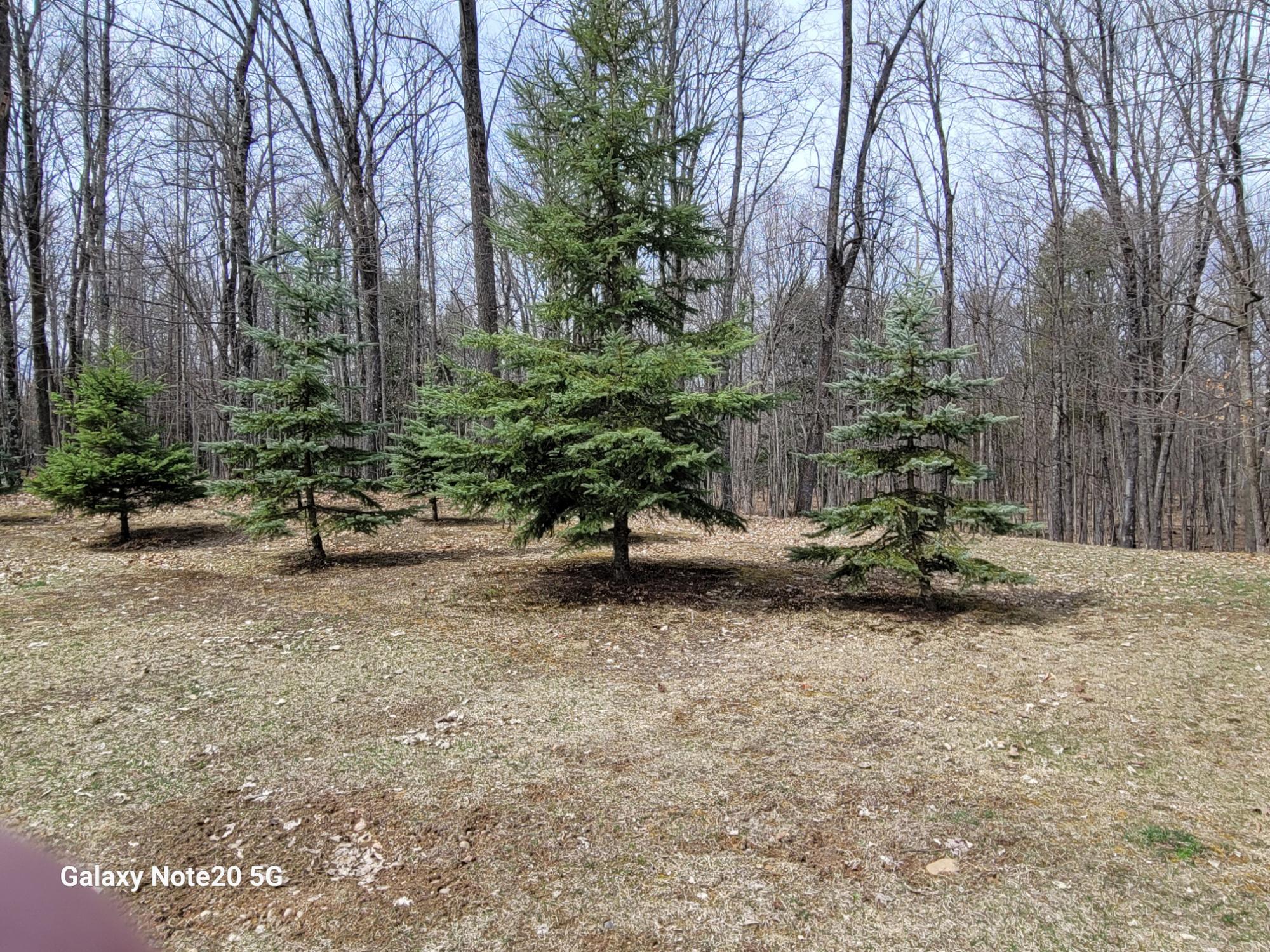 2876 Columbus Lake Road Eagle River, WI 54521 - Photo 37 of 46 Gallery Image 37
