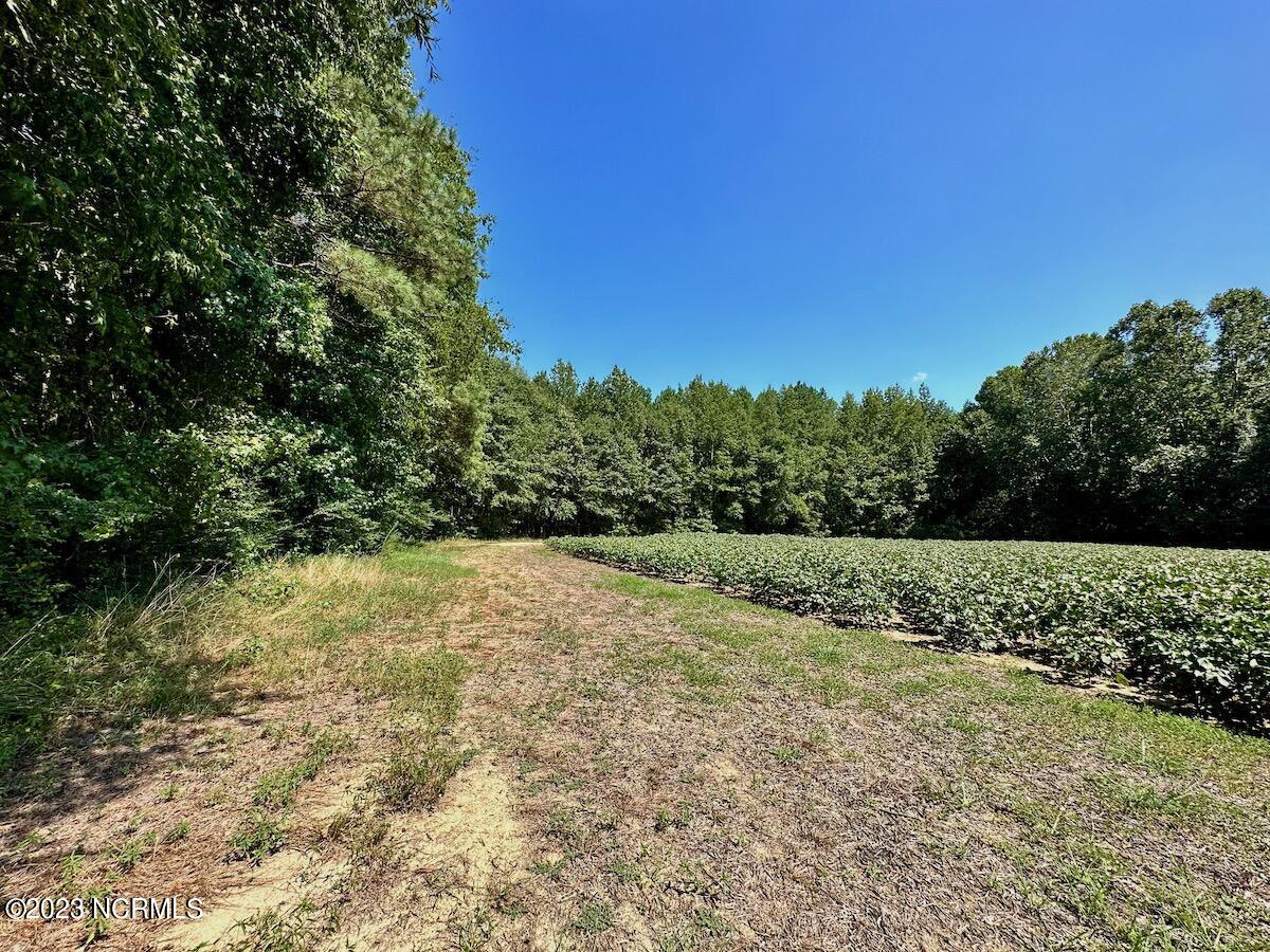 0 Hargraves Road Jackson, NC 27845 - Photo 9 of 50 8