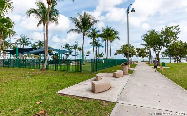 a view of a swimming pool with a garden and plants