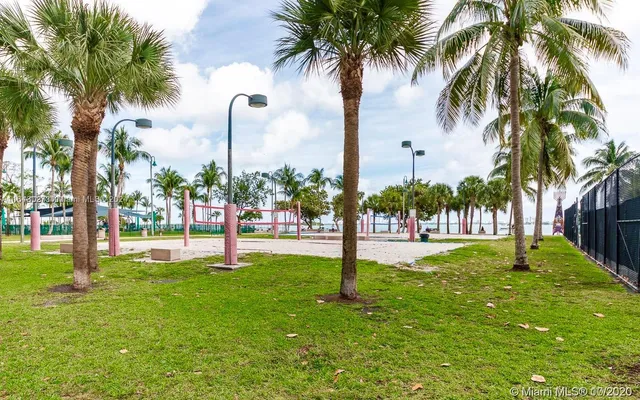 a view of a park and palm trees