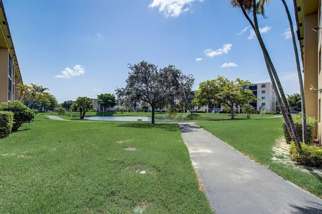 a view of a park with large trees