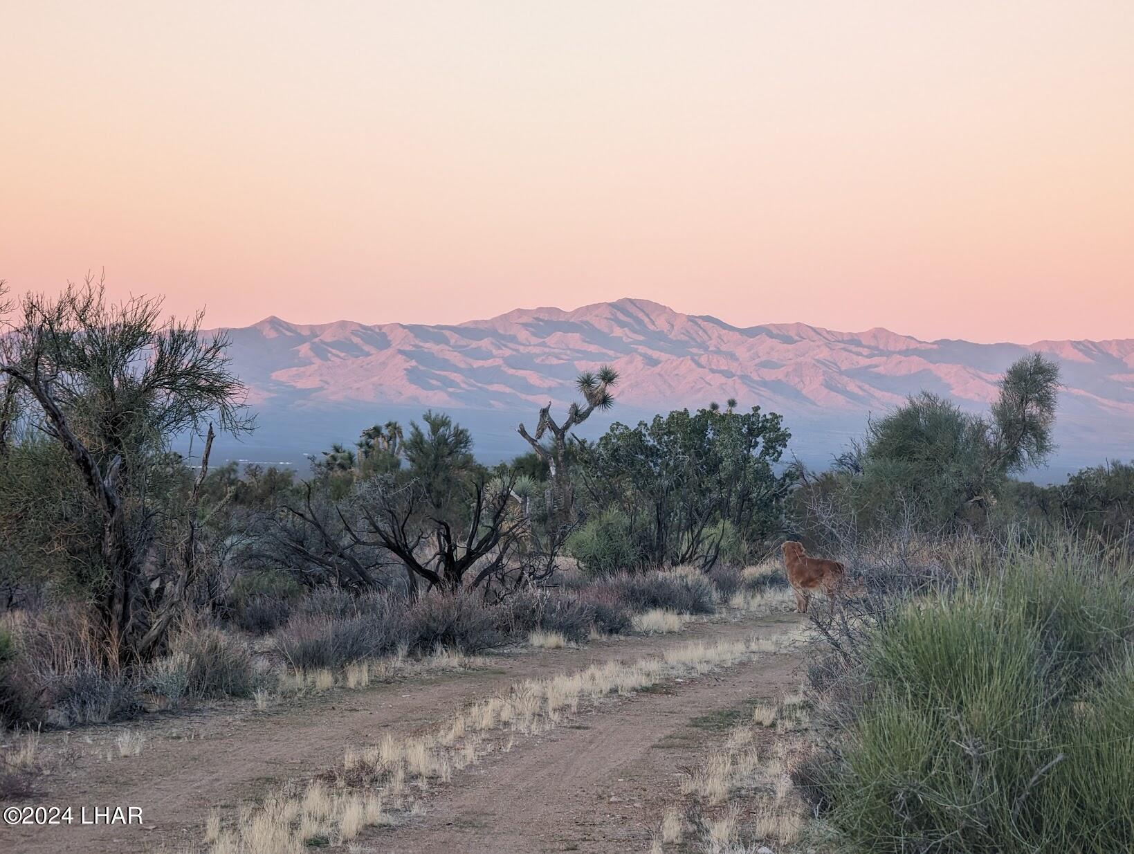 2624 South Gold Mine Road Yucca, AZ 86438 - Photo 13 of 35 Gallery Image 13