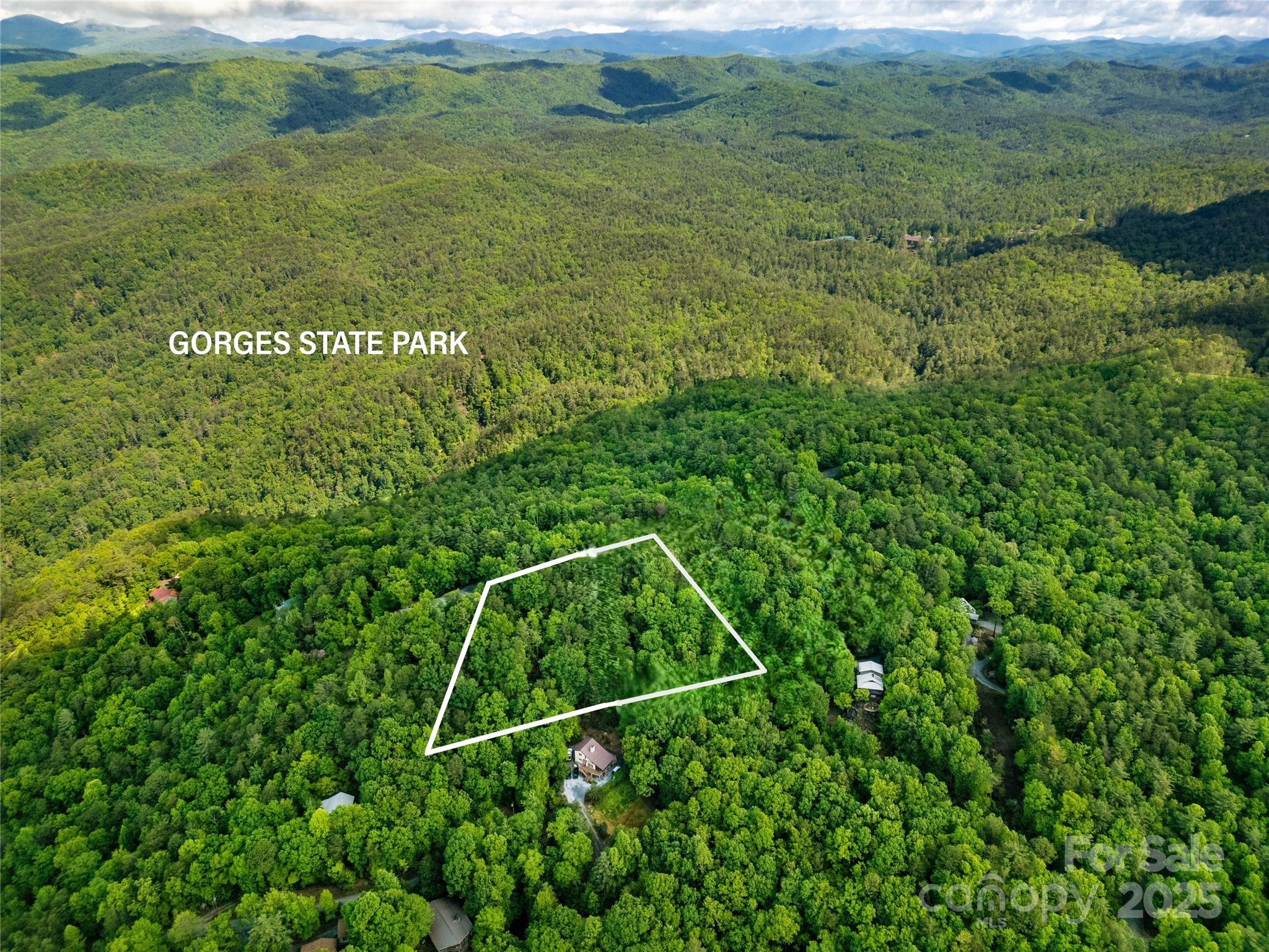 Lot 14 Arrowhead Ridge, Unit 14 REVISED Brevard, NC 28712 - Photo 11 of 21 a view of a lush green space