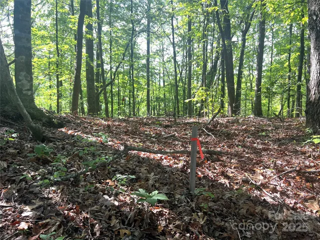 a view of outdoor space and trees