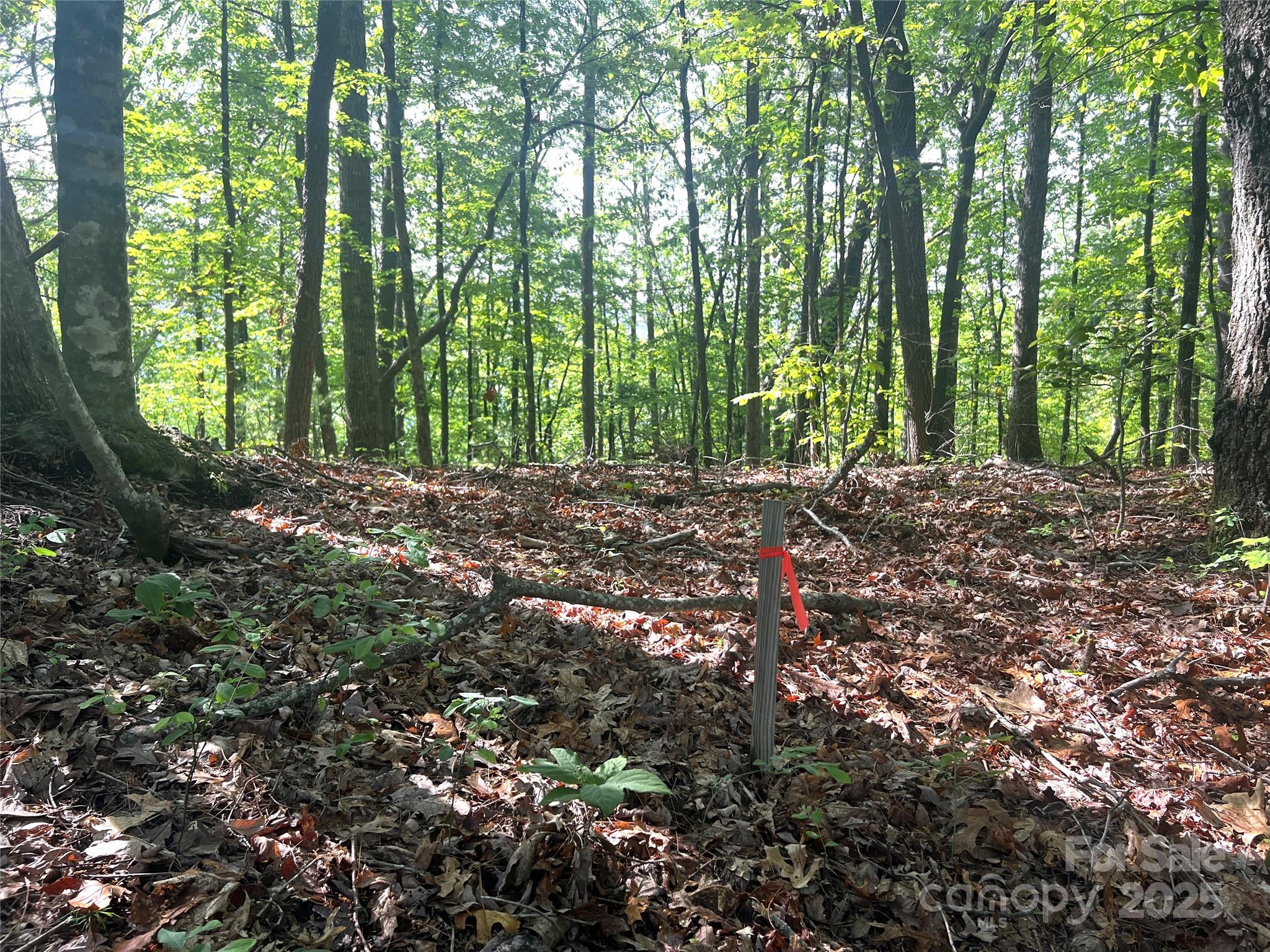 Lot 14 Arrowhead Ridge, Unit 14 REVISED Brevard, NC 28712 - Photo 12 of 21 a view of outdoor space and trees