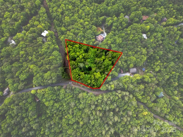 a view of flowers in a garden