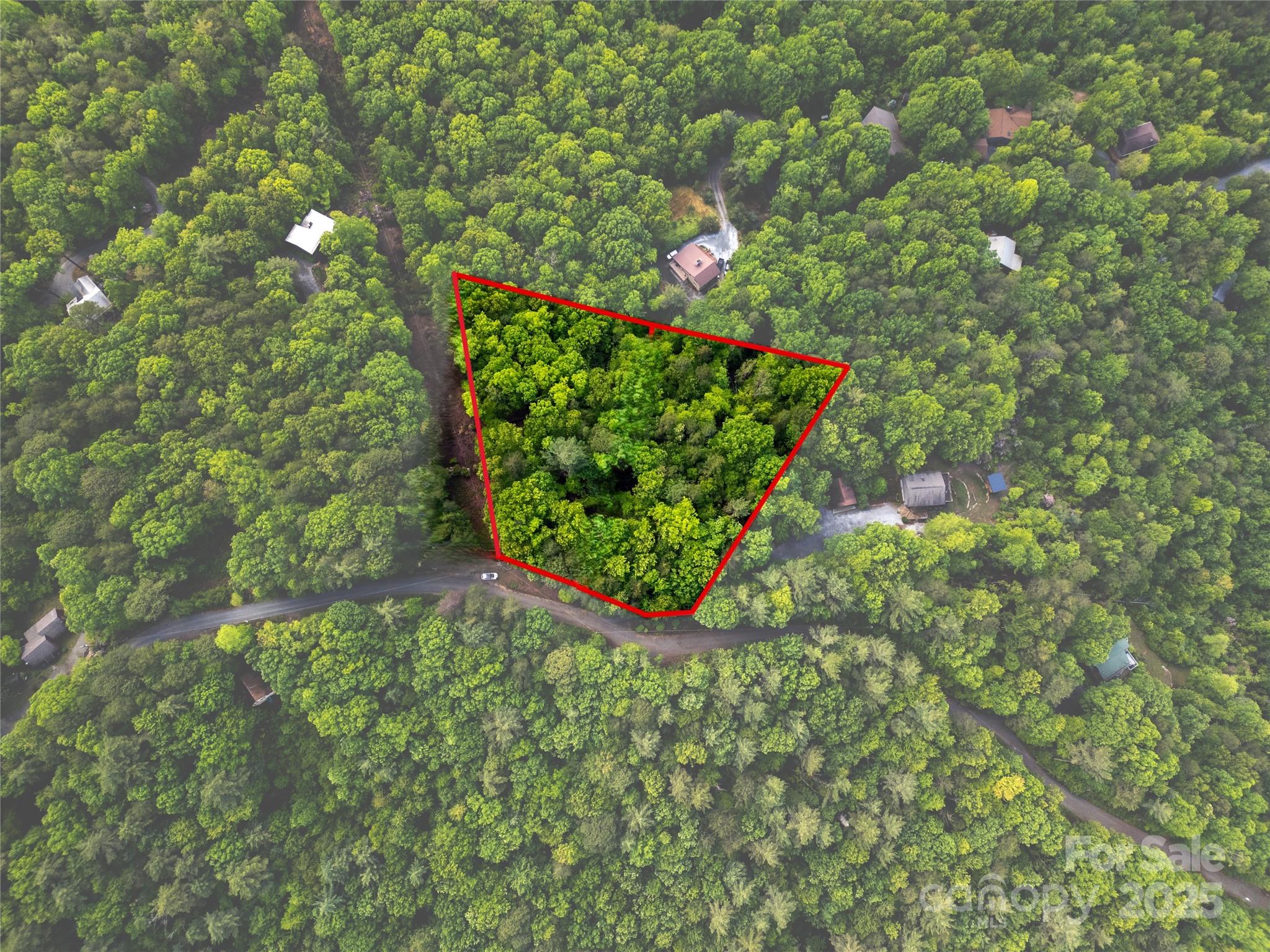 Lot 14 Arrowhead Ridge, Unit 14 REVISED Brevard, NC 28712 - Photo 13 of 21 a view of flowers in a garden