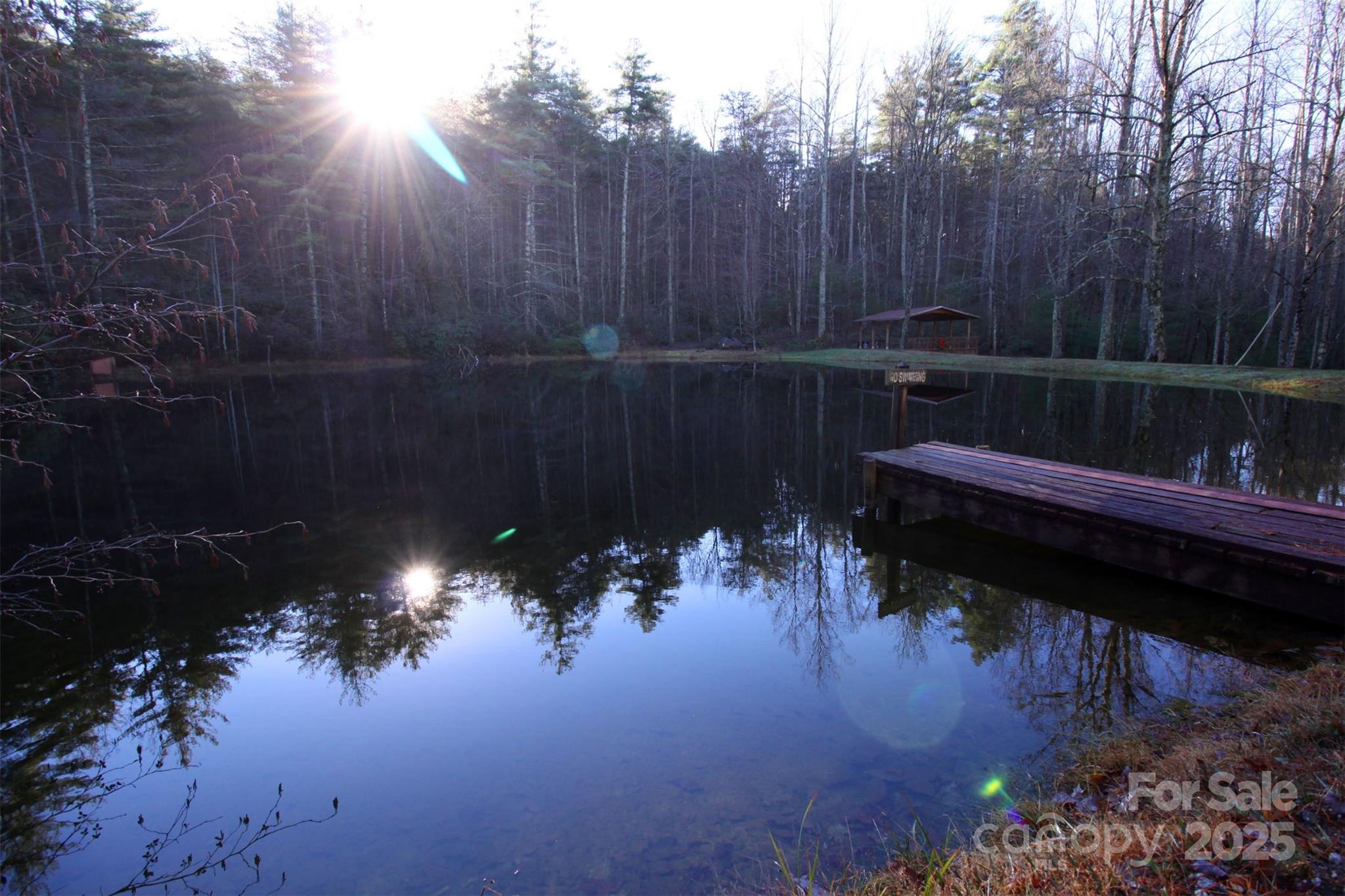 Lot 14 Arrowhead Ridge, Unit 14 REVISED Brevard, NC 28712 - Photo 19 of 21 a view of swimming pool from a yard