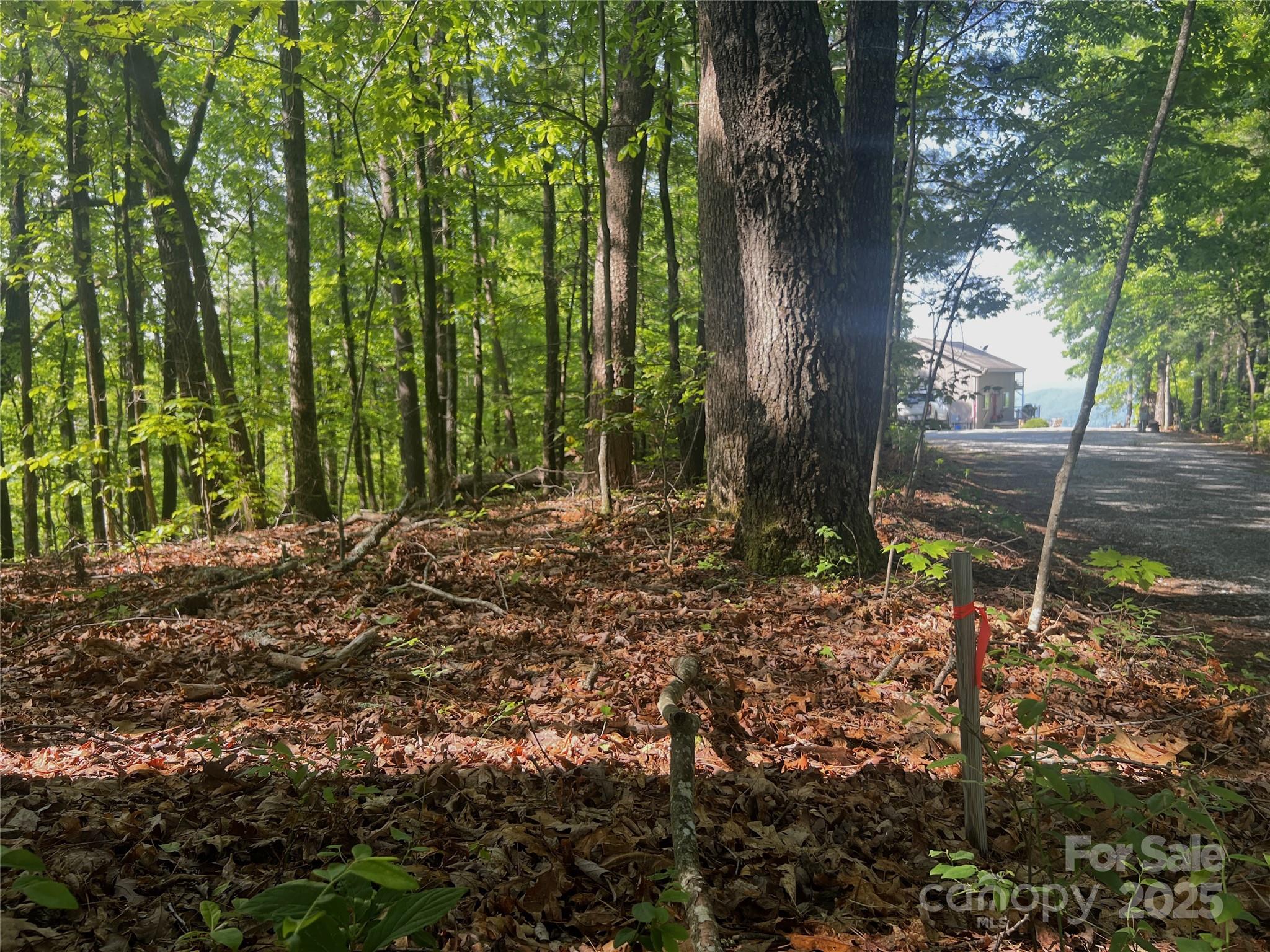 Lot 14 Arrowhead Ridge, Unit 14 REVISED Brevard, NC 28712 - Photo 2 of 21 a view of outdoor space and tree