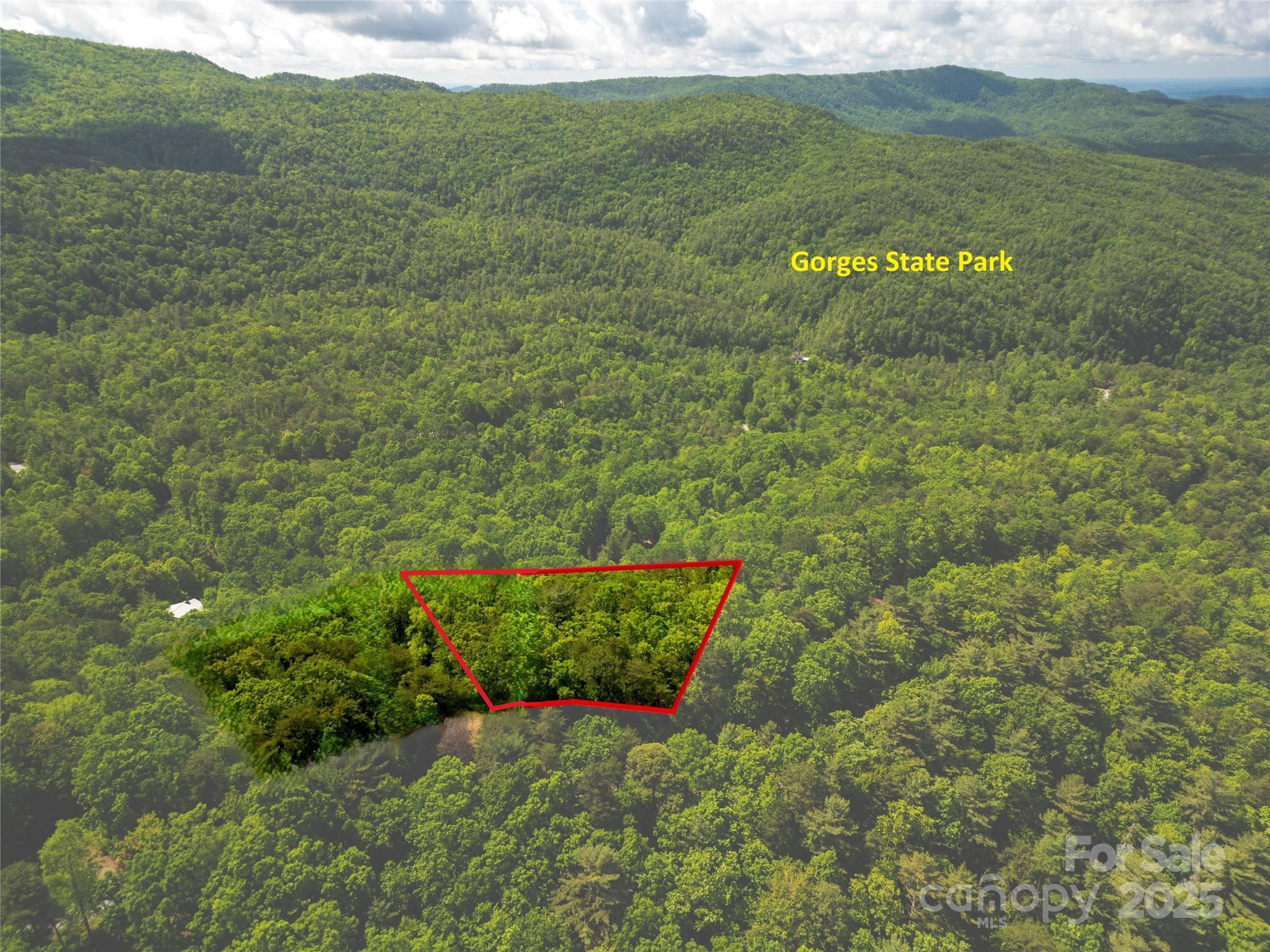 Lot 14 Arrowhead Ridge, Unit 14 REVISED Brevard, NC 28712 - Photo 4 of 21 a view of a lush green field