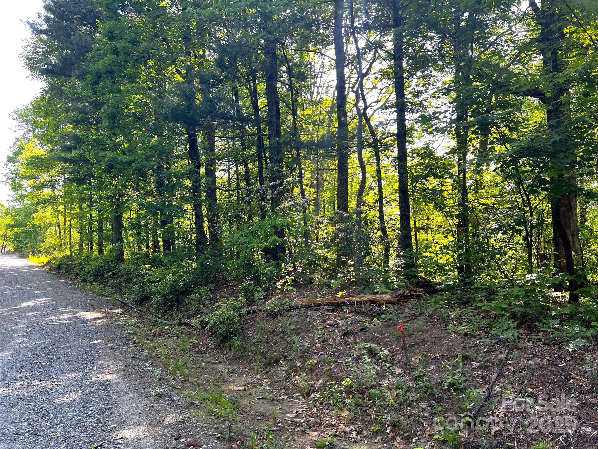 Lot 14 Arrowhead Ridge, Unit 14 REVISED Brevard, NC 28712 - Photo 6 of 21 a backyard of a house with lots of green space