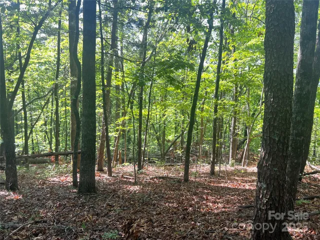 a view of outdoor space and trees