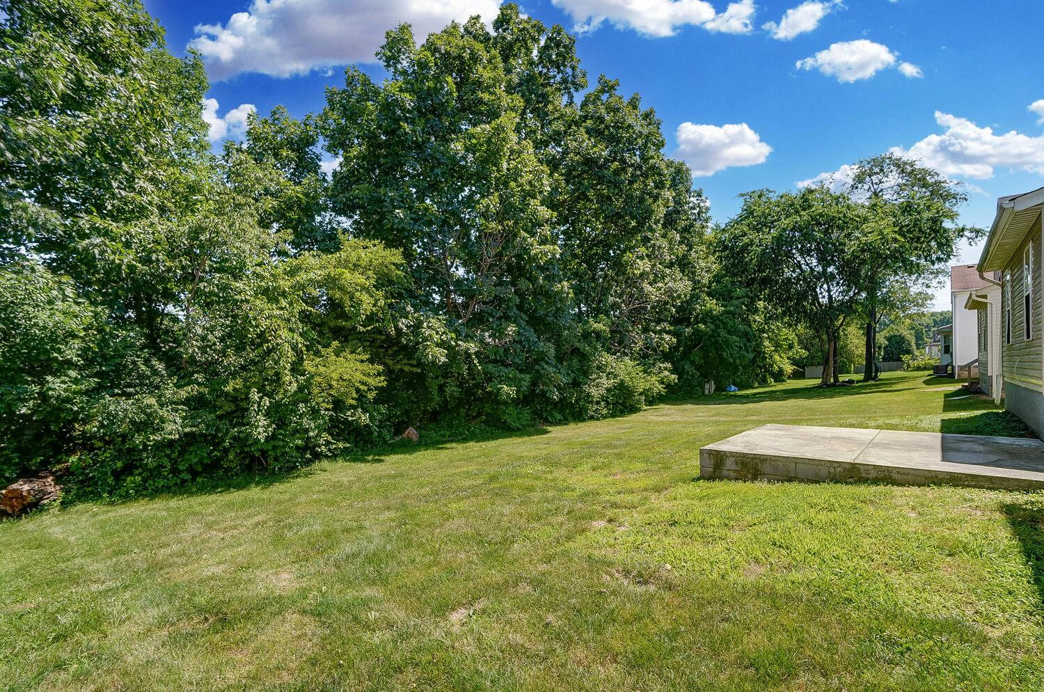 7594 Rippingale Street Blacklick, OH 43004 - Photo 49 of 50 50038544-049_web