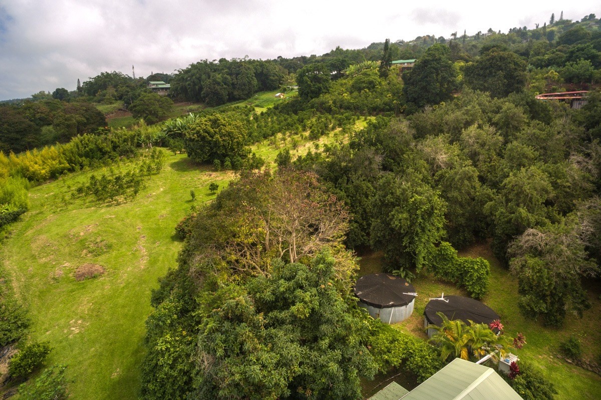 82-1087 KOA Road Captain Cook, HI 96704 - Photo 20 of 25 Gallery Image 20