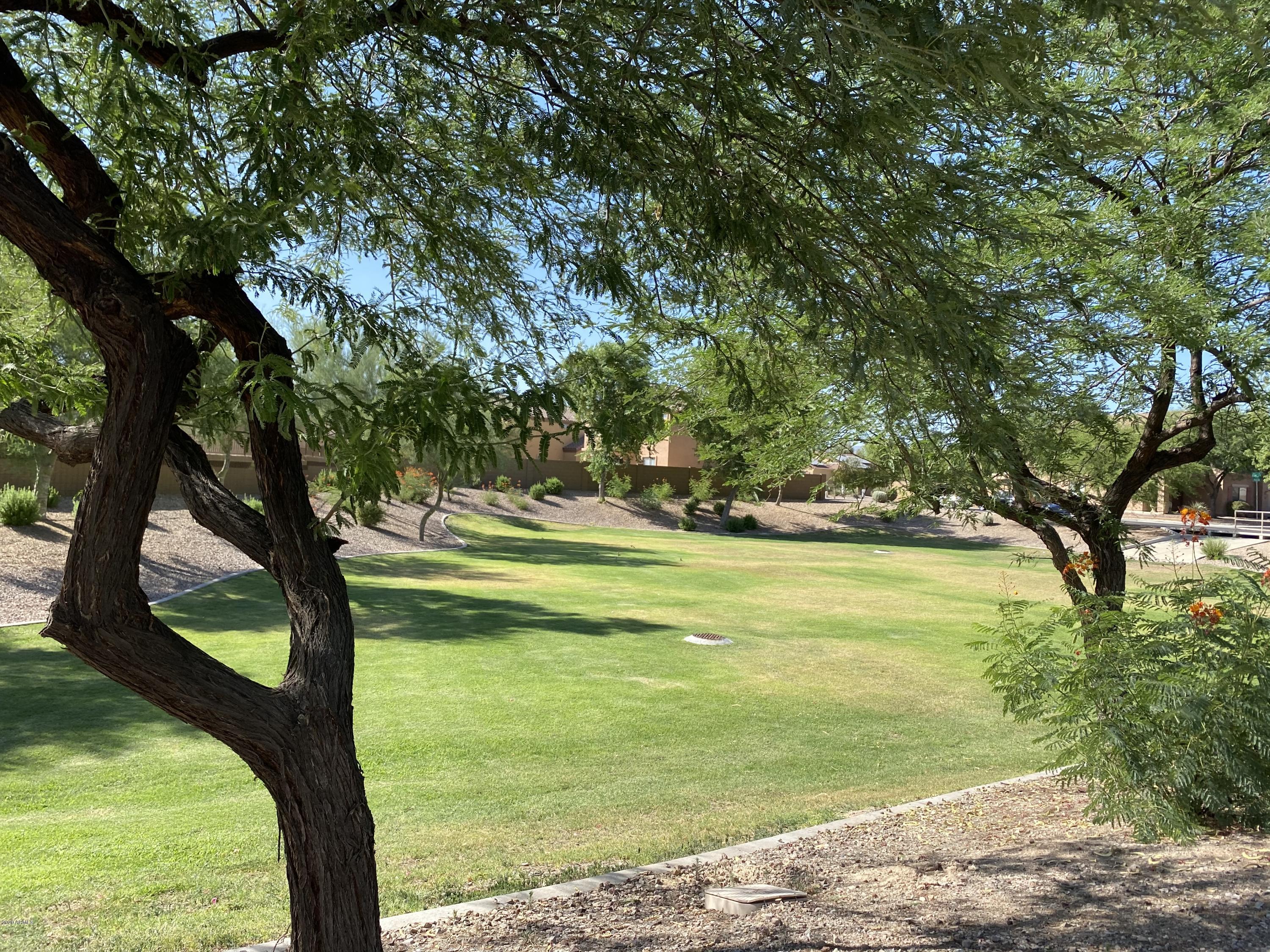 23701 West Pecan Road Buckeye, AZ 85326 - Photo 25 of 26 IMG_5122
