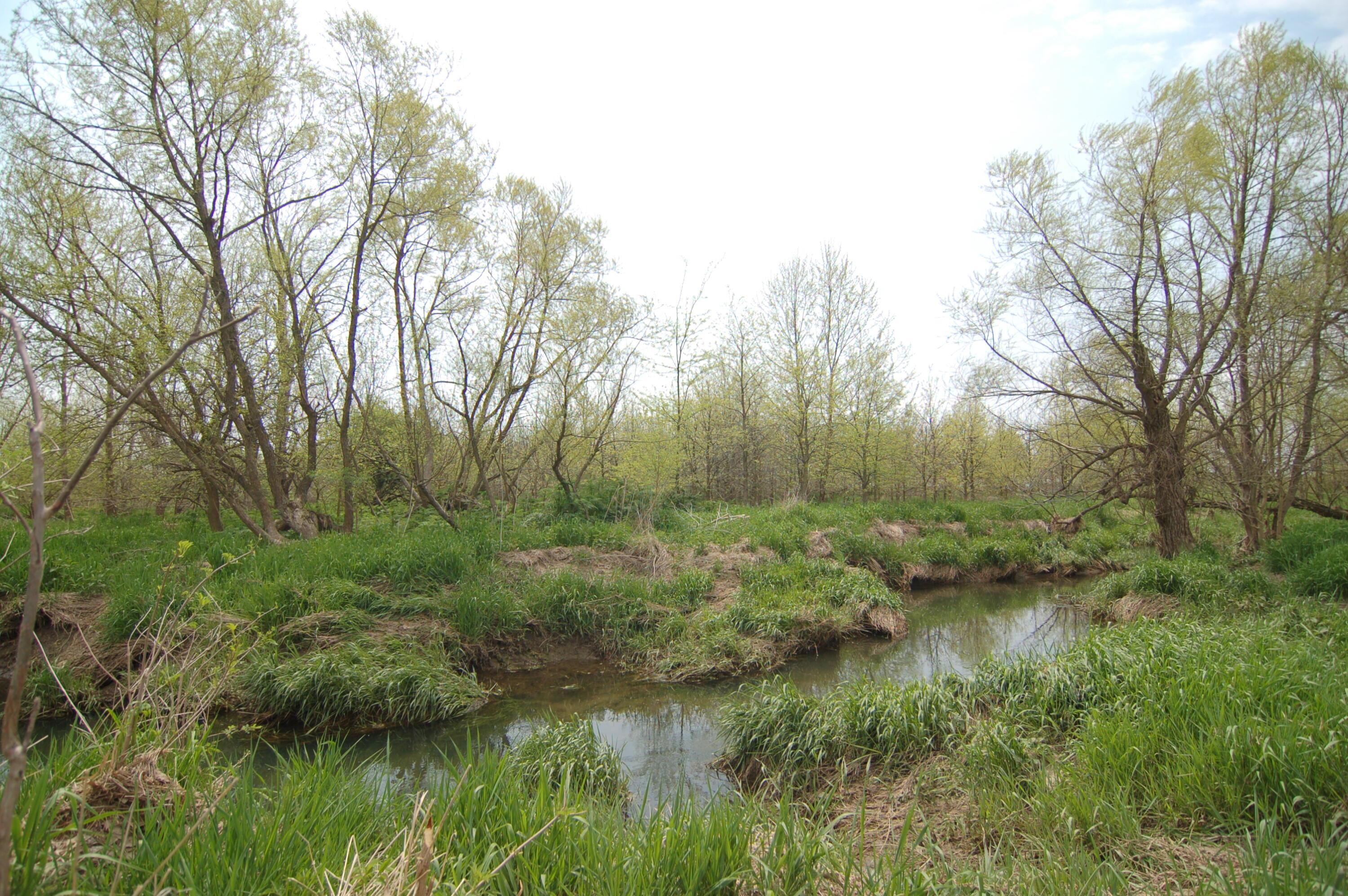 0 Rosedale-plain Rosedale-Plain City Road, Unit TRACT 1 Irwin, OH 43029 - Photo 26 of 28 Barron Creek 4