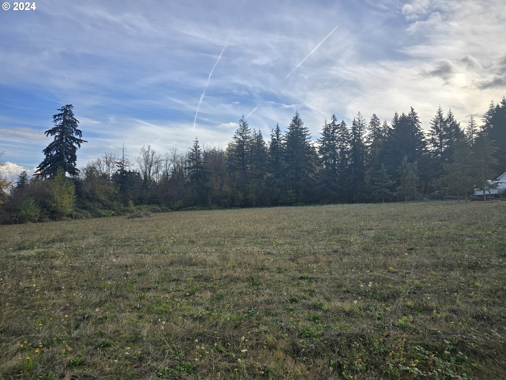 23322 Southeast Bohna Park Road Damascus, OR 97089 - Photo 8 of 40 a view of a yard