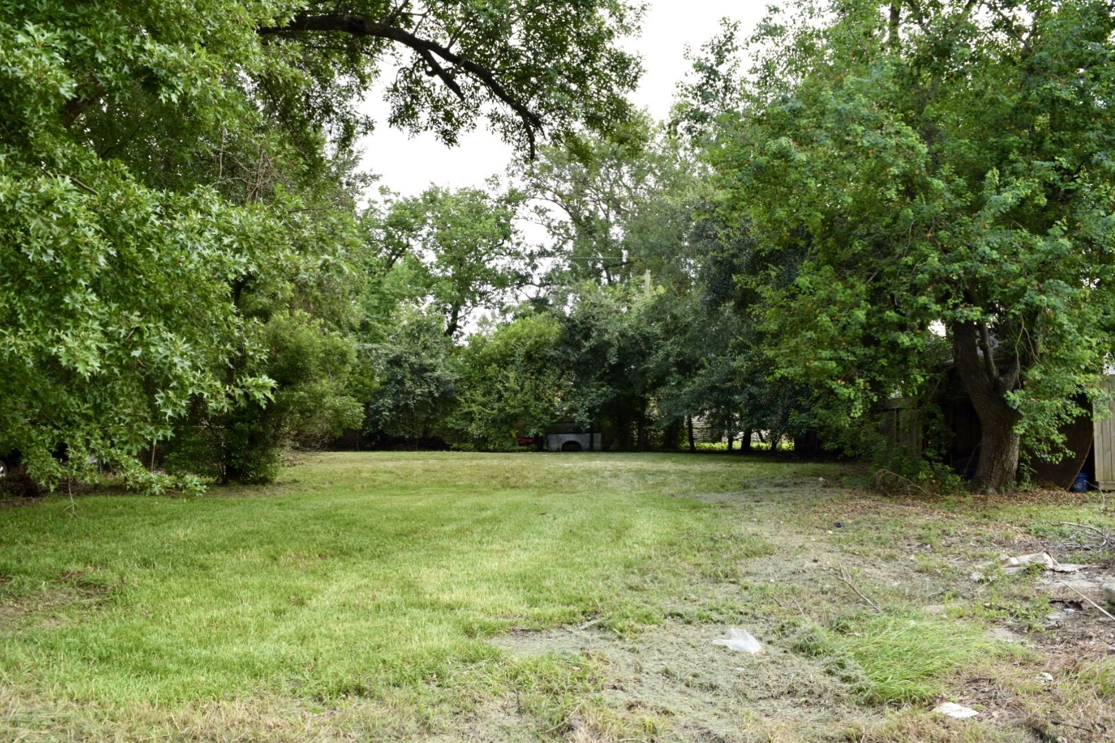 a view of a green field with trees in the background