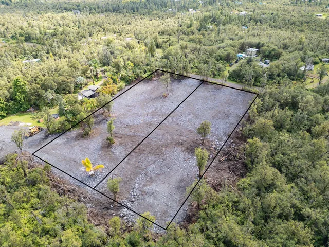 a view of a yard with plants