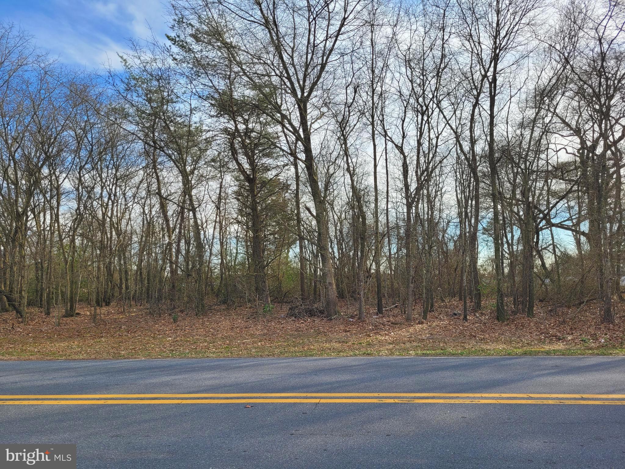 0 Easter Lane Seaford, DE 19973 - Photo 1 of 3 Road view of the lot.